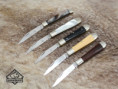 /album/pico-set-54610-/pico-alle-jpg/