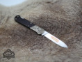 /album/921-wildlife-elch/921-elch-grena-04-jpg/